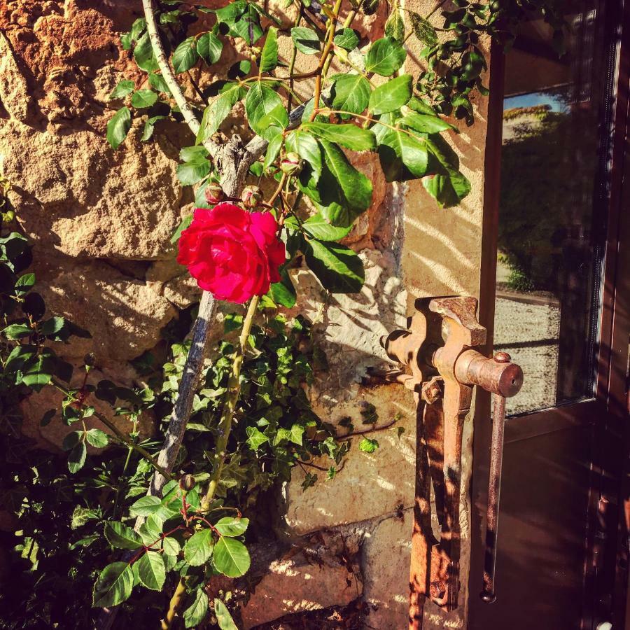 Le Clos D'Olea Oppède Esterno foto